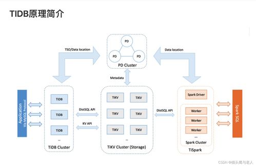 TiDB架构解析 数据处理与存储服务的核心特性